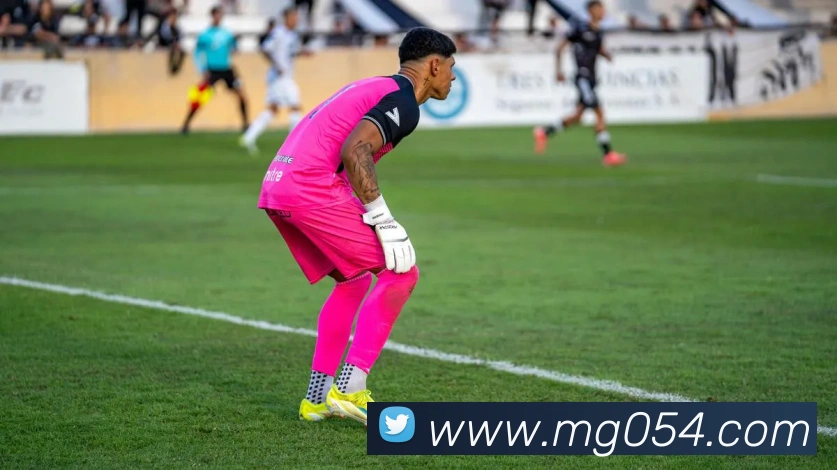 MG冰球突破平台生态图